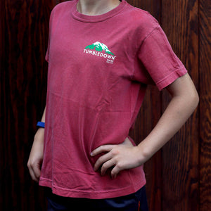 Kid’s Tee – Comfort Colors-Sold out Online
